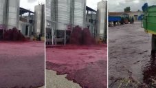 Wine River Is Real: 50,000 Liters Of Bloody Red Wine Spilled Creating A Horror Scene