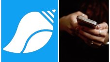 Twitter's Swadeshi Version Tooter Went Viral Online