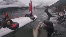 iPhone 11 Still Works After Being Submerged In Water For 6 Months