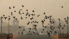 Delhi Is The World’s Most Polluted Capital City For Three Years In A Row