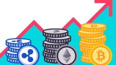 Caplita Review: Fees, Features, And More