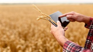 Samsung Electronics Will Focus On Smart Agriculture With 5G Tech