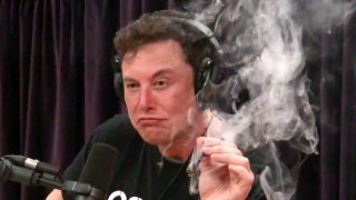 Elon Musk Smoked Marijuana On Live Stream, Losing NASA’s Trust