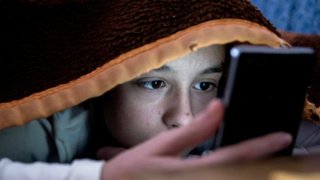 The Petitioner Wants To Develop ‘Parental Windows’ Feature To Protect Children From The Abusive Contents On The Internet