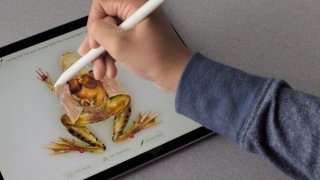 Created By Over 70% Disabled People, The Indian App Became The Ipad App Of The Year 2018