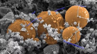 Scientists Discover An Ecosystem 2.5 Kilometers Underground That Outweighs All Human Life