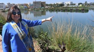 Hebbagodi Lake To Be Listed In Limca Book Of Record For Having The Largest Artificial Island