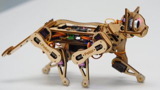 Nybble - The Cute Robotic Cat For Cat-Lover And Coder In The Future