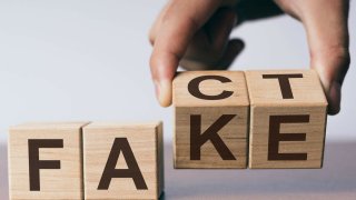 The President And Logo Of LTC Were Used In A Fake Travel Website