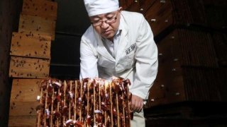 Chinese People Found A New Way To Handle Waste Disposal: They Raise Billions Of Cockroaches