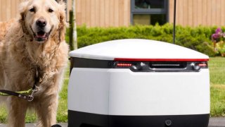 Dogs Respond More Positively Than Humans To Autonomous Robots