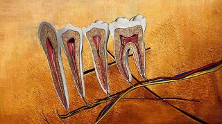 How AI Will Innovate Dentistry