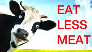 Scientists Say Eating Less Meat Is The Best You Can Do To Maintain The Earth