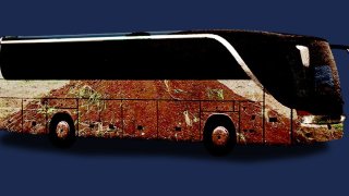 A Pakistani City Will Launch A Network Of Transportation Powered By Cow Manure