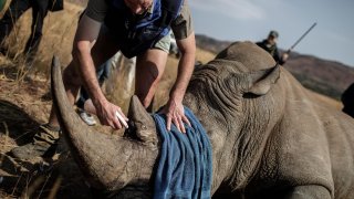 World's 1st AI-Based Camera Helps Fight Wildlife Animal Hunters