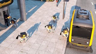Incredible Robot Dogs To Offer A Home Delivery Service