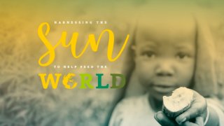 Crop Photosynthesis Improved By 40% By Scientists To Hopefully Reduce Suicides In Farmers