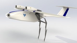 These Bird-like Drones Can Take Off Like A Real Bird