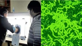 Indian Researchers Have Found Signs Of Life Which Existed 2.5 Billion Years Ago