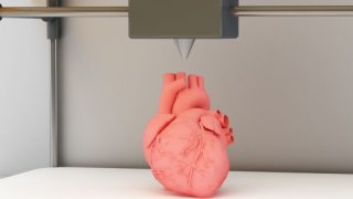 NASA To Apply The 3D Printing Tech To Manufacture Hearts In Space