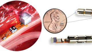 A Company Just Made In-Body Health Sensors Smaller Than Grain Of Rice