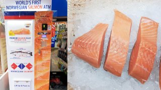 Attention Salmon Lovers! Singapore Now Has The First Salmon Vending Machines In The World