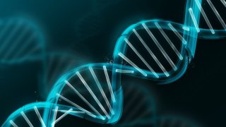 US Company Ceases Selling DNA Collecting Equipment To China