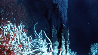 By Replicating Deep Ocean Conditions, NASA Finds Out How Life Began 4 Billion Years Ago
