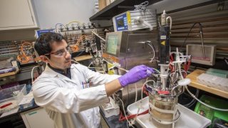 Jet Fuels Made From Plants Could Compete With Fossil Fuels On Price