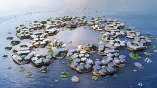This Startup Wants To Build A Floating Village To Tackle Climate Change