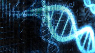 Scientists Turned A Human Cell Into A Biological Computer Using CRISPR