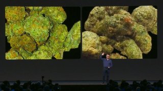 Marijuana or Broccoli? Facebook Demonstrates AI's Challenges With An Example