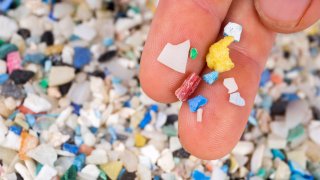 Surprise! You're Eating 50,000 Microplastic Particles A Year, How Does That Feel?
