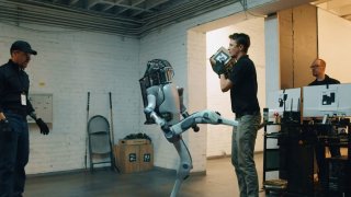 Brutal Boston Dynamics Parody: A Robot Takes Revenge