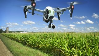 Government And IBM India Are Testing AI & Weather Tech In Agriculture