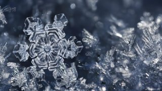 15 Examples Of Maths Patterns In Nature That Will Stun You (Part 1)