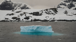 Scientists Want To Dump 7.4 Trillion Tons Of Artificial Snow On Antartica