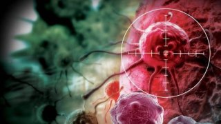 IIT Madras Has Revealed How To Cure Cancer 100% In Its New Research