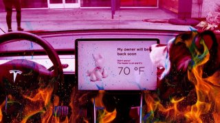 Serious Flaw In Tesla's 'Dog Mode' Has Been Fixed