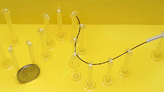 This Robotic Worm Can Be Guided Through The Human Brain