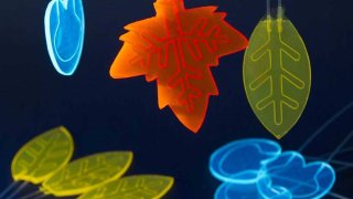These Artificial Leaves Can Absorb Sunlight To Produce Cheaper Medicine