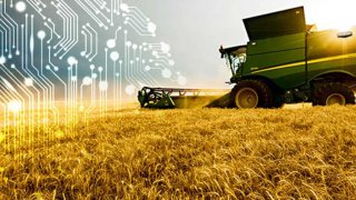 The New AI Tool Can Predict Climate Change And Diagnose Crop Diseases