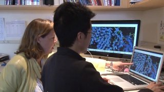 This Computer Model Can Tell Us Where Ebola Will Break Out Next