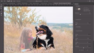 Adobe Photoshop's New AI Tool Can Isolate Complex Objects Quickly