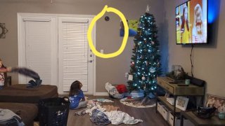 Mom Installed A Fake CCTV Camera To Make Her Kids Behave, And It Works