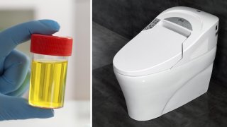 Researchers Want To Make You A Smart Toilet That Can Analyze Your Urine For Health Issues