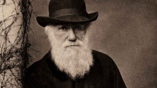 5 Well-Known Scientists Who Are Terrible At Math