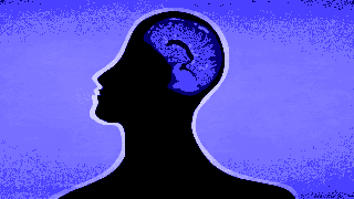 Scientists' Brains Reduce In Size After Spending Over A Year In Antarctica