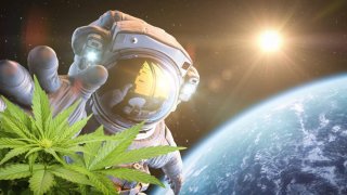 SpaceX Capsule Will Send Cannabis To The International Space Station Next Year