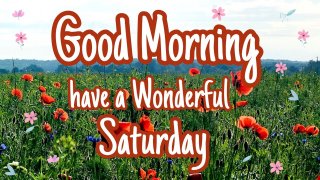 Top Meaningful Good Morning Pictures For WhatsApp, From Monday To Sunday